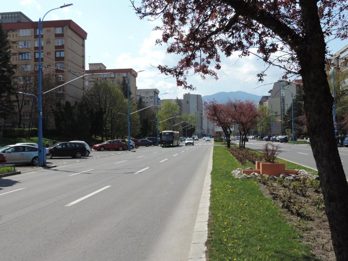 Victoriei Boulevard Private Apartment Braşov Exteriör bild
