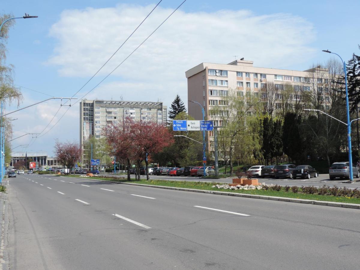 Victoriei Boulevard Private Apartment Braşov Exteriör bild
