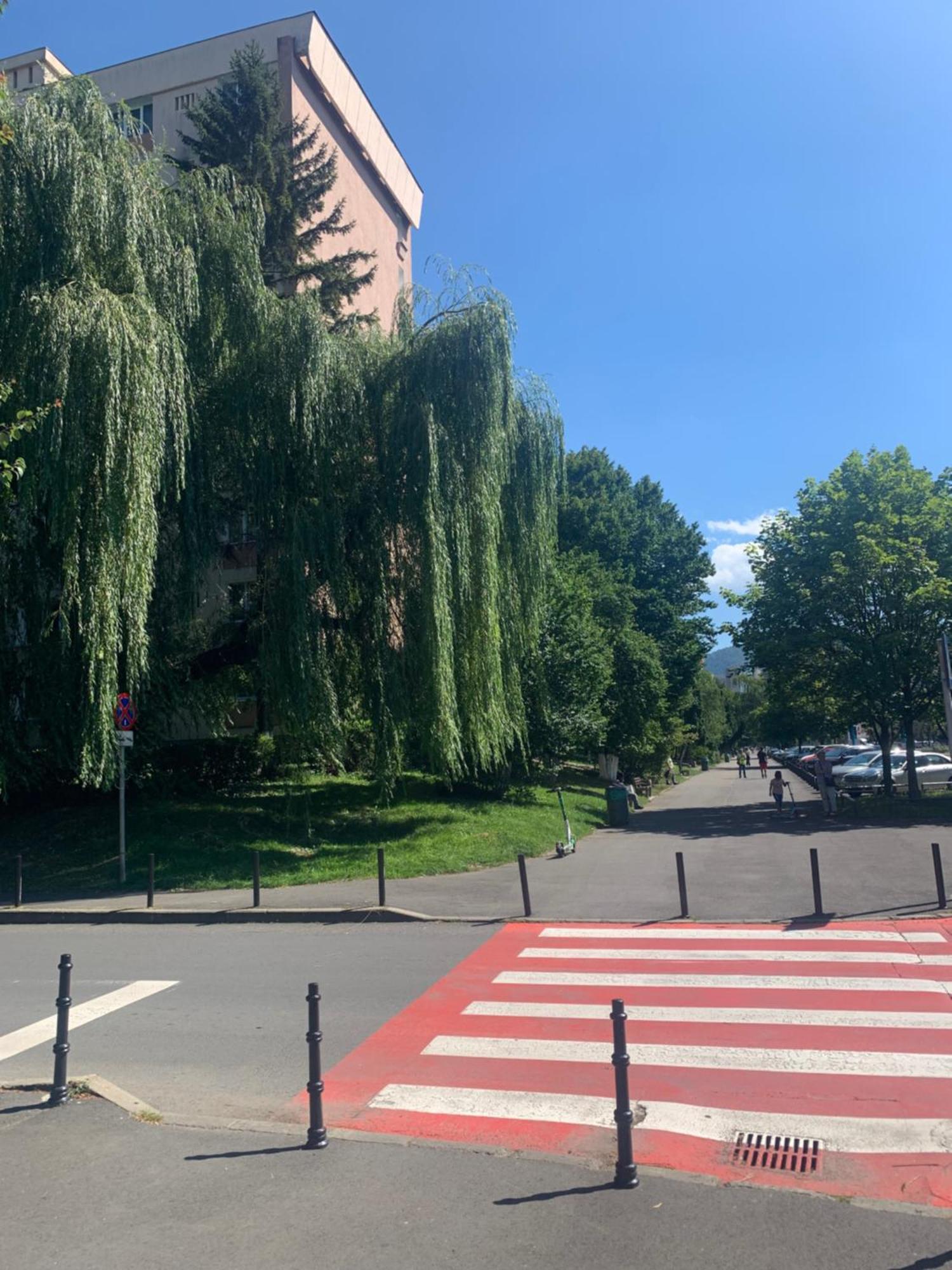 Victoriei Boulevard Private Apartment Braşov Exteriör bild