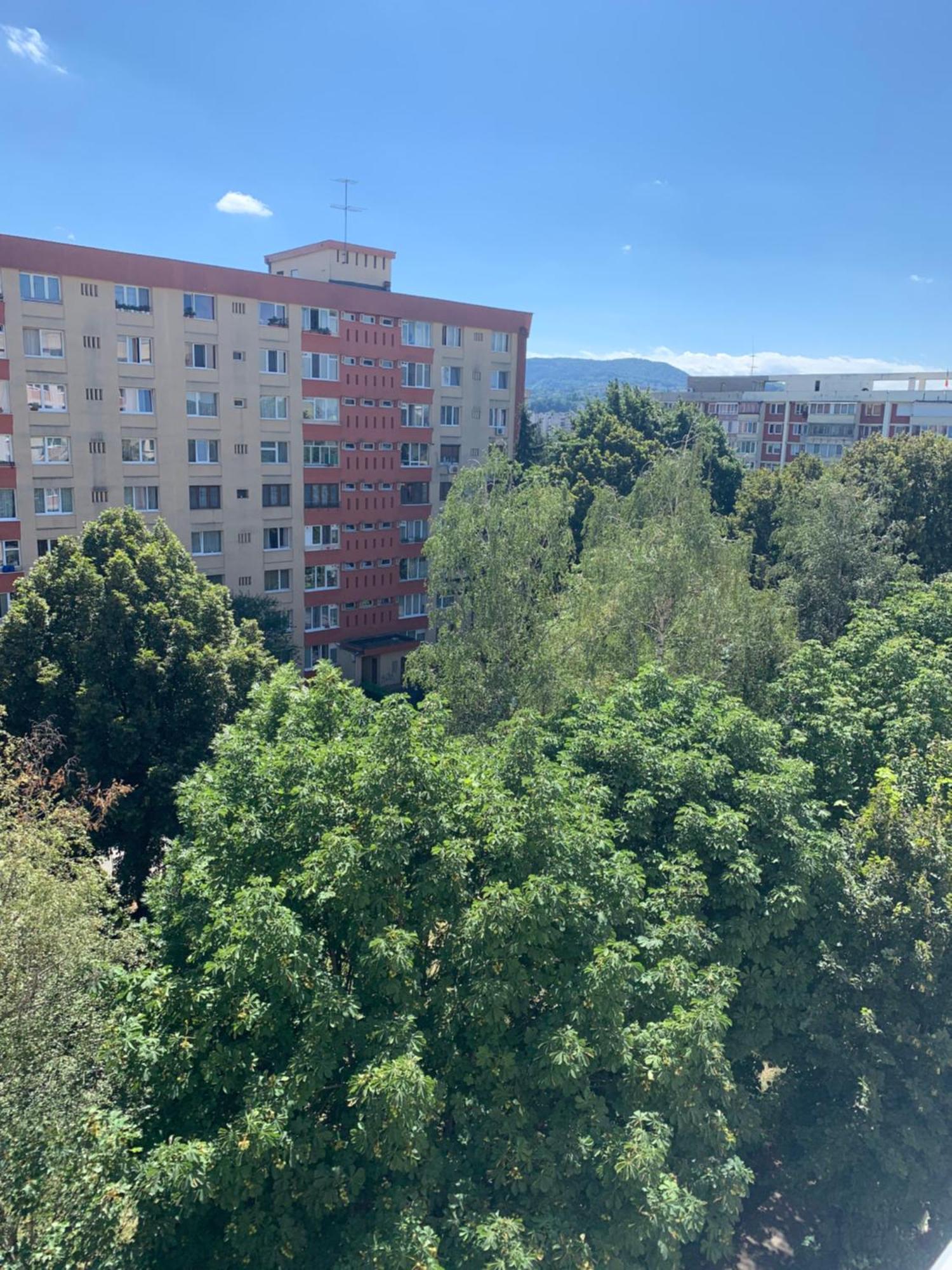 Victoriei Boulevard Private Apartment Braşov Exteriör bild